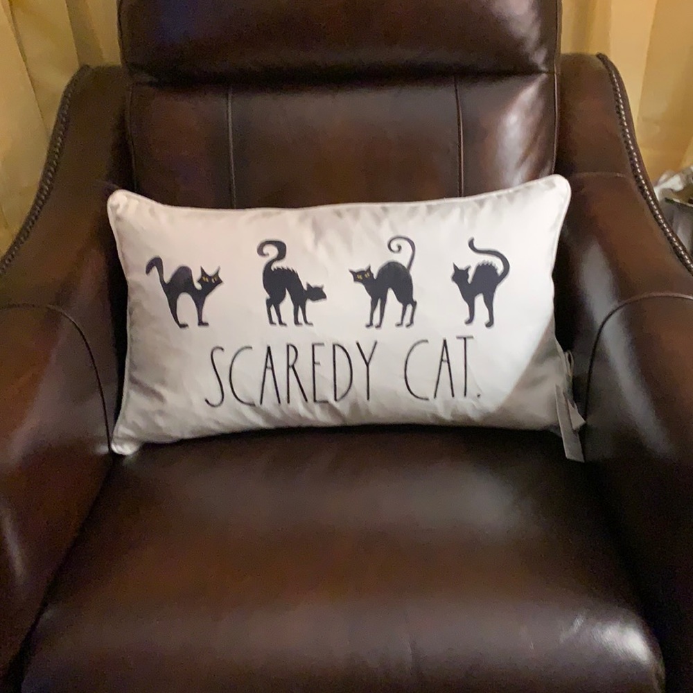 Rae Dunn SCAREDY CAT embroidered pillow  Halloween